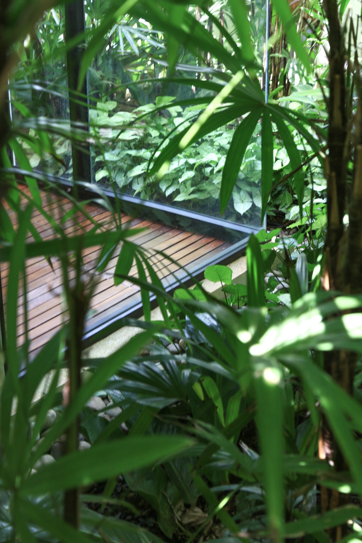 Beach Barn — residential architecture, Pacific Coast, Costa Rica